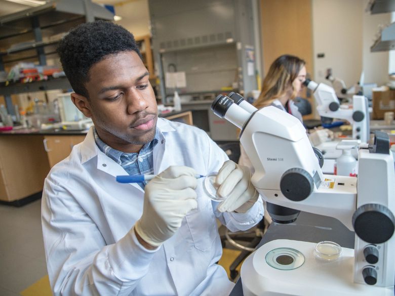 A student researcher examines a sample in a laboratory.